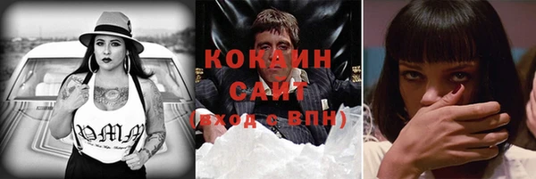 бошки Белокуриха