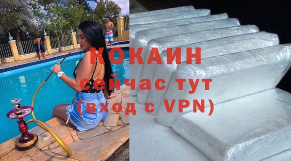 бошки Белокуриха