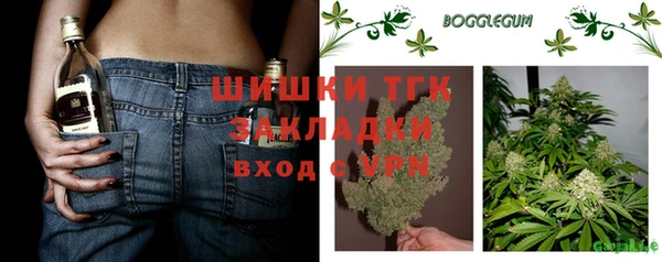 бошки Белокуриха
