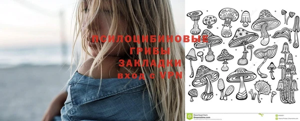 PSILOCYBIN Беломорск